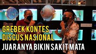 JUARA IKAN NASIONAL BIKIN SAKIT MATA !! KONTES DISCUS GILAAAA