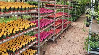 Sanjay nursery, Pune