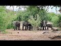 Another Chobe Day Trip (16/03/2024)