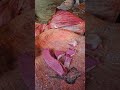 amazing deshi buffalo meat super smooth cutting skill in bd