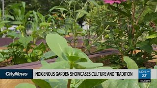 Indigenous public garden showcases culture and tradition