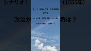 【SFC】スーパー信長の野望・武将風雲録　シナリオ1　戦国の動乱（1555年）政治が一番低い武将は？