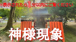 神様映ってます！これが荒御魂神メッセージ「瀬織津姫神」京都最強パワースポット【上賀茂神社遠隔参拝】