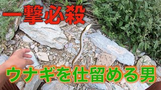 大漁のモクズガニとウナギの穴釣り。その8