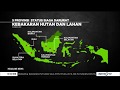 Inilah 5 Daerah RI Rawan Kebakaran Besar Hutan & Lahan