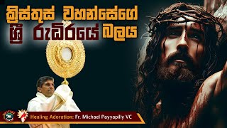 Power in the Blood of Christ | Healing Adoration by Fr. Michael Payyapilly VC | Eng - Sinhala | DRCC