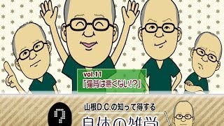 山根悟DCの知って得する身体の雑学 vol.11「猫背は悪くない!? 」