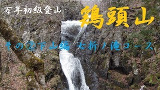 万年初級登山「鶏頭山」その②下山編