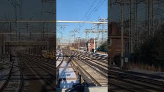 Cat crossing the Northeast Corridor tracks #railfanning #train #amtrak #cat