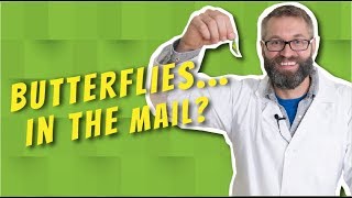 Butterfly Mail Drop Buggin Out With Zak