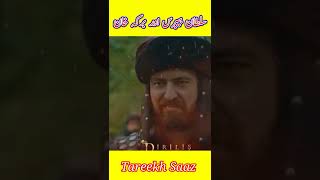 Sultan Ruknuddin Baibars | Part 06 #shorts