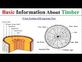 Cross section of Tree || Timber || Structure of timber