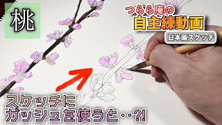 【自主練:日本画スケッチ】僕が水彩ガッシュを使う理由は‥ 桃の花を描く つらら庵