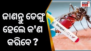 Dengue Fever | ଜାଣନ୍ତୁ ଡେଙ୍ଗୁ ହେଲେ କ'ଣ କରିବେ|Dengue Cases Increasing In Bhubaneswar |Dengue Symptoms