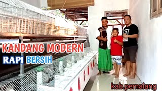 KANDANG KELINCI MODERN HANYA DI  PEMALANG // MITRA 130