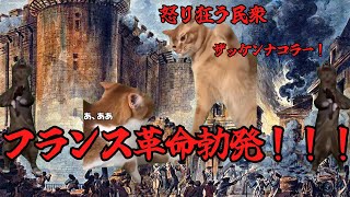 【猫ミーム】猫ミームで学ぶナポレオンの知られざる生い立ちとそのルーツ