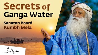 Ganga’s Special Properties, Sanatan Board \u0026 Kumbh Mela - TV Channels Interview Sadhguru at Prayagraj