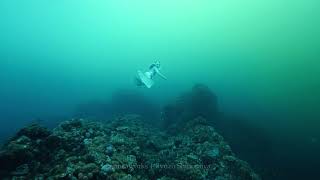 [8K] 硫黄島（鹿児島）ツアー　水中オーロラとフリーダイバー