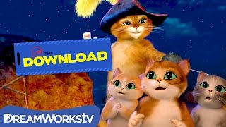 Top 5 CATS in Dreamworks Animation History | THE DREAMWORKS DOWNLOAD