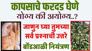 फरदड घेणे योग्य की अयोग्य ? फवारणीकापूस फरदड़ नियोजन कसे करावे | kapus fardad Niyojan kase karave I