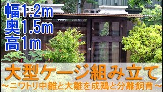 大型ケージ組み立て～ニワトリの中雛と大雛用、ヒヨコを成鶏と分離飼育～