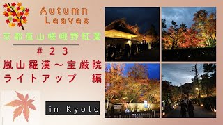 【風景と自然】京都嵐山嵯峨野紅葉 ＃２３ 嵐山羅漢～宝厳院ライトアップ 2024年11月30日　Kyoto, Arashiyama, Sagano Autumn Leaves Series #23