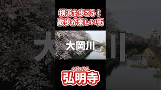 横浜『弘明寺』散歩がとても楽しい！歩くならオススメはここだ！#横浜 #弘明寺 #散歩 #横浜散歩 #yokohama