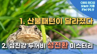 [오늘의 기후] 산불 패턴이 달라졌다 / 섬진강 두꺼비 성전환 미스터리