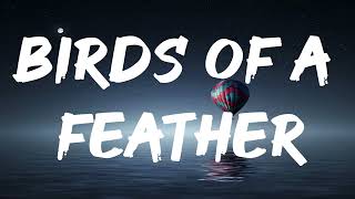 Billie Eilish - BIRDS OF A FEATHER (Lyrics)