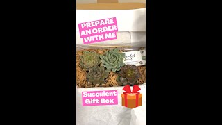 Succulent Gift Box : Prepare an order with me! 🎁 #succulents #succulentgift #succulentgiftbox