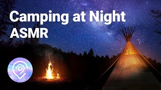 ASMR - Forest Night White Noise / Campfire, Crickets, Owls Binaural #019