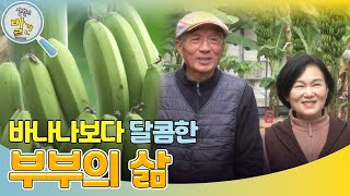 바나나보다 달콤한 부부의 삶 ＂달콤하게 익어가길~＂ [생활의 발견] | KBS 250204 방송