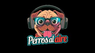 🔲 PERROS AL AIRE  |  PROGRAMA: 05-11-2024  🔲