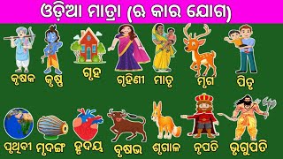 ଋ କାର ଯୋଗ l odia barnamala l ଓଡ଼ିଆ ମାତ୍ରା l odia matra shikhya l ଓଡ଼ିଆ ବର୍ଣ୍ଣମାଳା l କୃ,ଖୃ, ଗୃ, ଘୃ, l