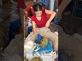 Amazing Durian Cutting Skills By Pretty Lady - Thai Street Food