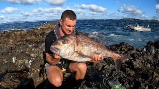 Took All Day - Snapper With Bow n Arrow in New Zealand