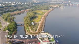 Seoraeisland Seoul Banpo Hangang (반포한강공원 서래섬)