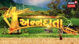 વધુ દૂધ ઉત્પાદન મેળવવા અપાતો ચારો | ANNADATA | News18 ગુજરાતી