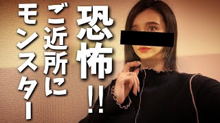 【隣人トラブル】どちらが悪い？えび夫婦間で意見が真逆！【婚活・恋愛相談・独身・マッチングアプリ】