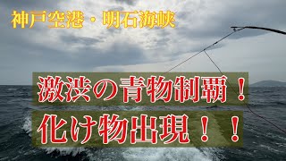 [明石]激渋の中青物制覇！[神戸空港]メーターオーバーの化け物！