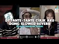 DJ TANTE-TANTE CULIK AKU DONG || DJ CAMPURAN SLOWED REVERB VIRAL TIKTOK 2024