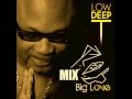 Low Deep T House Mix