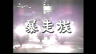 なんてたって好奇心1989年夏「暴走族」