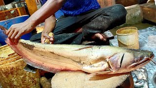 10.5 Kg Giant Wallago Attu (Bola) Fish Cutting Skills And  How To Collect Huge Egg || First Cutting