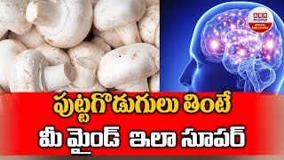 Eating Mushroom Benefits : పుట్టగొడుగులు తింటే మీ మైండ్ చాలా సూపర్..! || ABN Digital