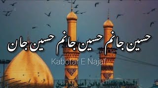 Hussain a.s Janam a.s Hussain Noha Lyrics Urdu, farsi| Irfan Haider New Noha 2022 |
