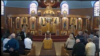 Divine Liturgy - January 17, 2016