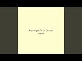 Moonlight River Dream