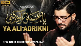 Ya Ali Adrikni | या अली अदरीकनी | Mir Hasan Mir Nohay 2021 | New Nohay 2021