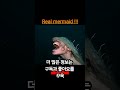 이게 뭐야 shorts shortvideo trendingshorts 인어 facts truth or lie mermaid merman 유머 세상에이런일이